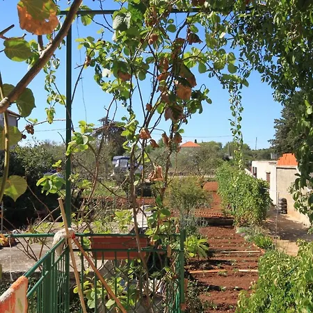 With A Parking Space - 8416 דירה