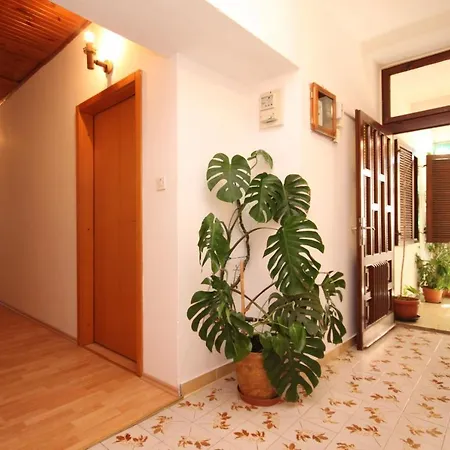 Appartement With A Parking Space - 8416 Ugljan