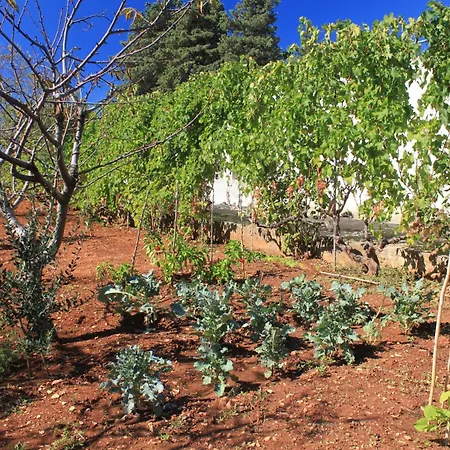 Appartement With A Parking Space - 8416 *