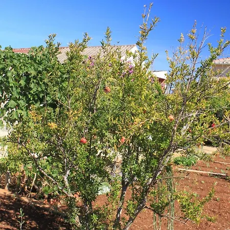 Appartement With A Parking Space - 8416 *