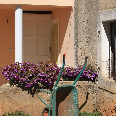 Appartement With A Parking Space - 8416