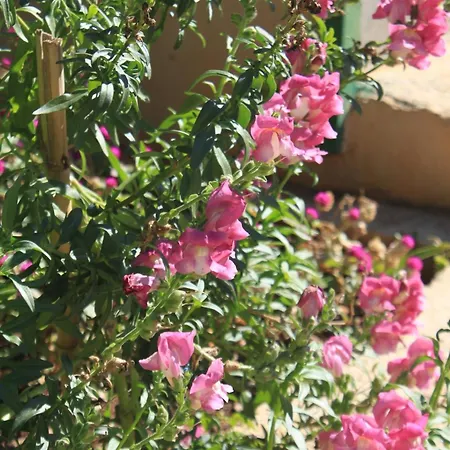 Appartement With A Parking Space - 8416 *