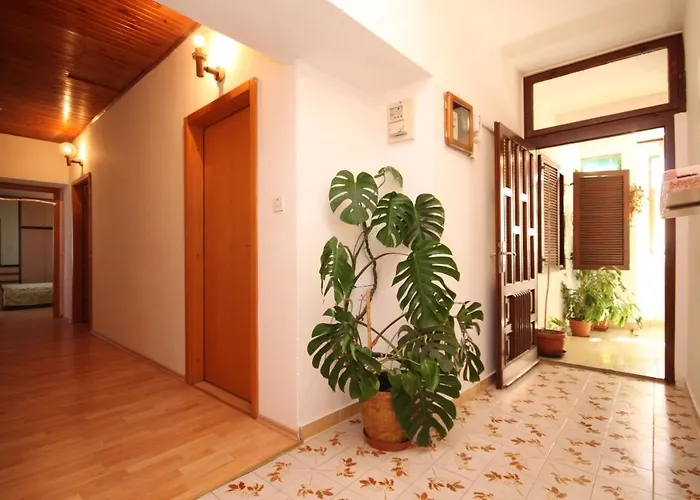 Daire With A Parking Space - 8416 Ugljan