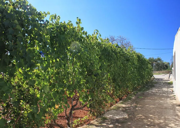 Daire With A Parking Space - 8416