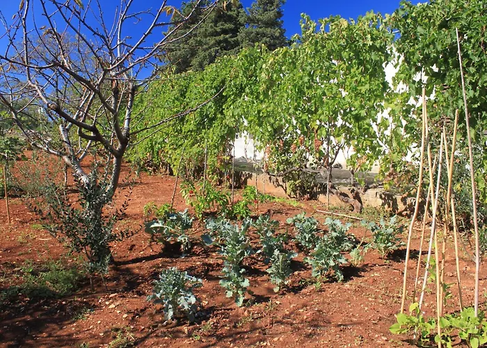 Daire With A Parking Space - 8416 *