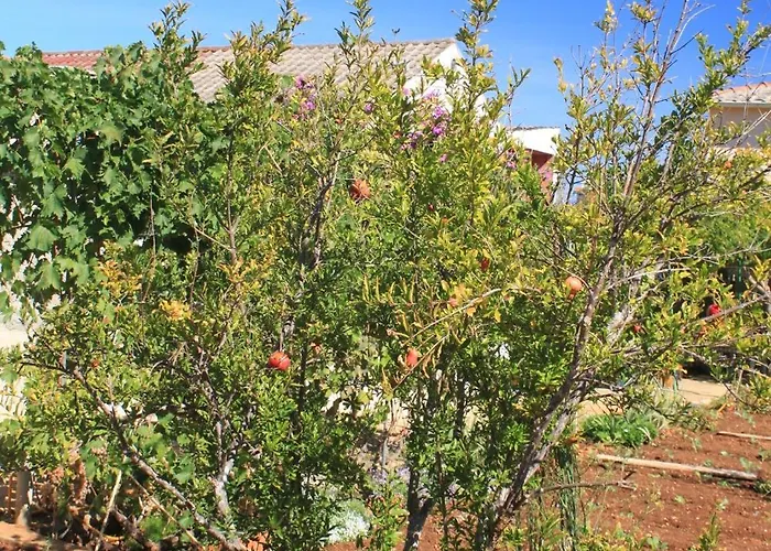 Daire With A Parking Space - 8416 *