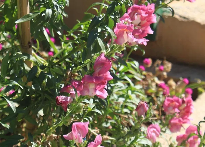 Daire With A Parking Space - 8416 *